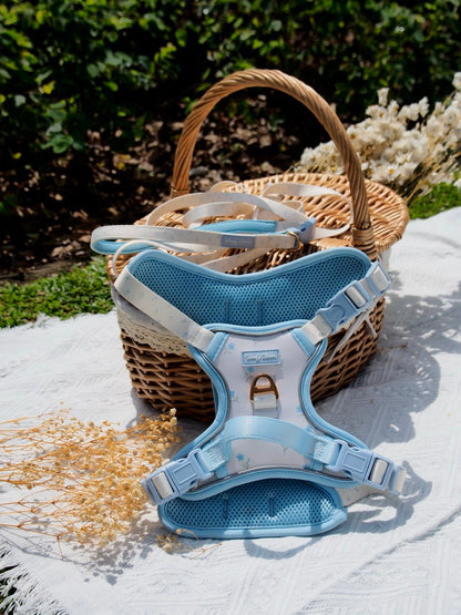 Cottage Sky Bloom Harness & Multi-Way Leash